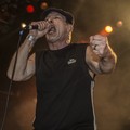Click to enlarge GutterPunk - Professional Concert Photography